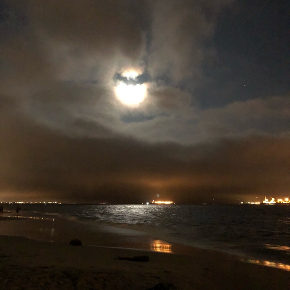 Meet your Posher, Gabby - Picture 8 of 8